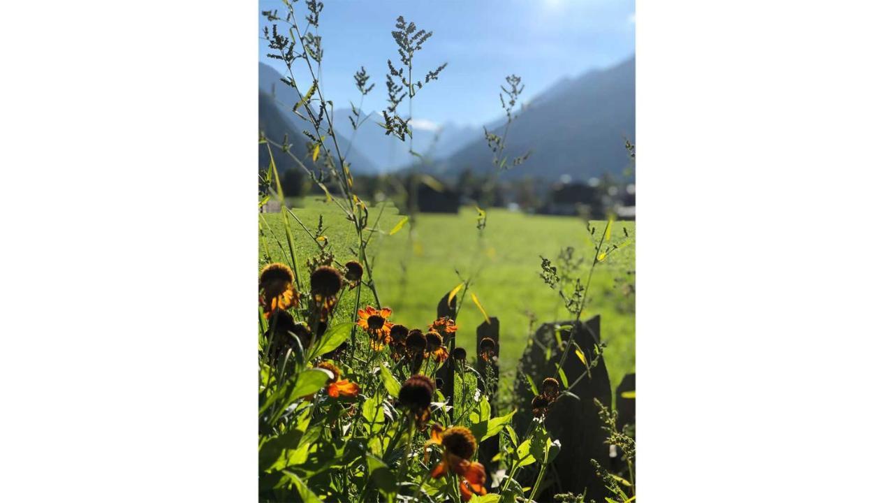 Ferienwohnung Gästehaus Haus Barbara Neustift im Stubaital Exterior foto